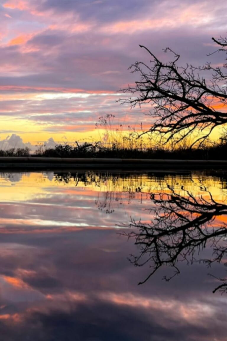 Domaine de Vibois - Domaine sunset