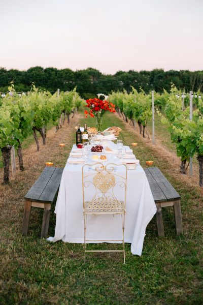 Domaine Vibois - repas vignes